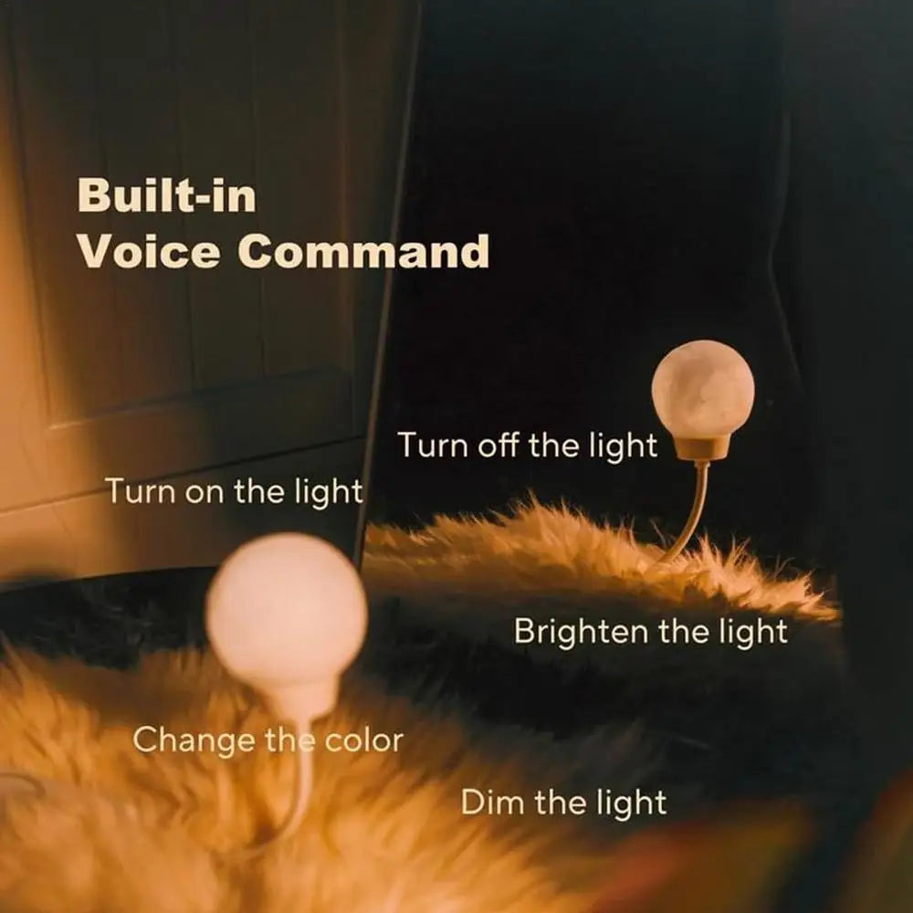 Desk Lamp Voice Activated Moon Table LED Lamp With Timer