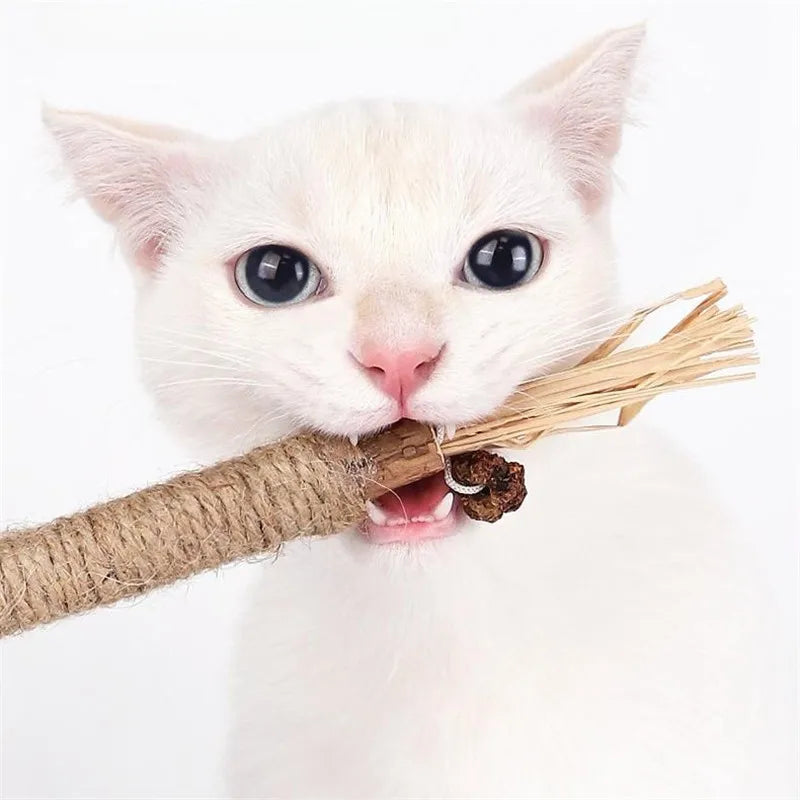 1PC 22CM Wooden Polygonum Stick for Teeth Grinding, Tooth Cleansing, Tooth Stain Removal and Fresh Breath