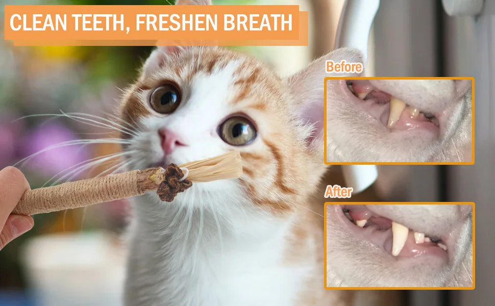 1PC 22CM Wooden Polygonum Stick for Teeth Grinding, Tooth Cleansing, Tooth Stain Removal and Fresh Breath