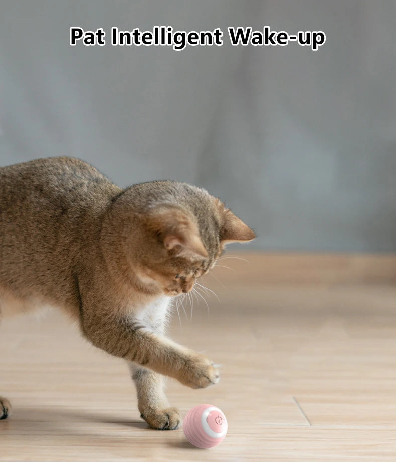 Cat Interactive Smart ball