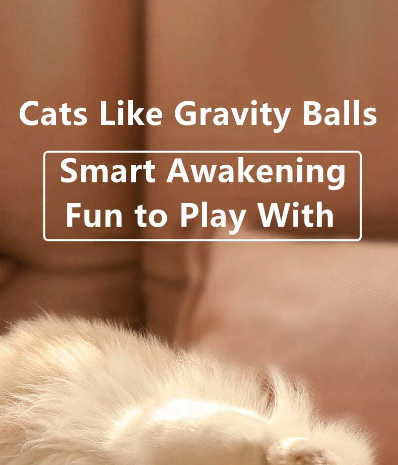 Cat Interactive Smart ball