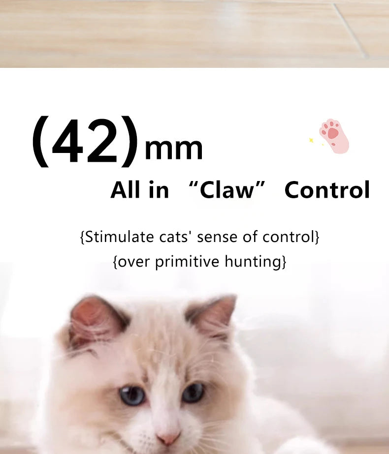 Cat Interactive Smart ball