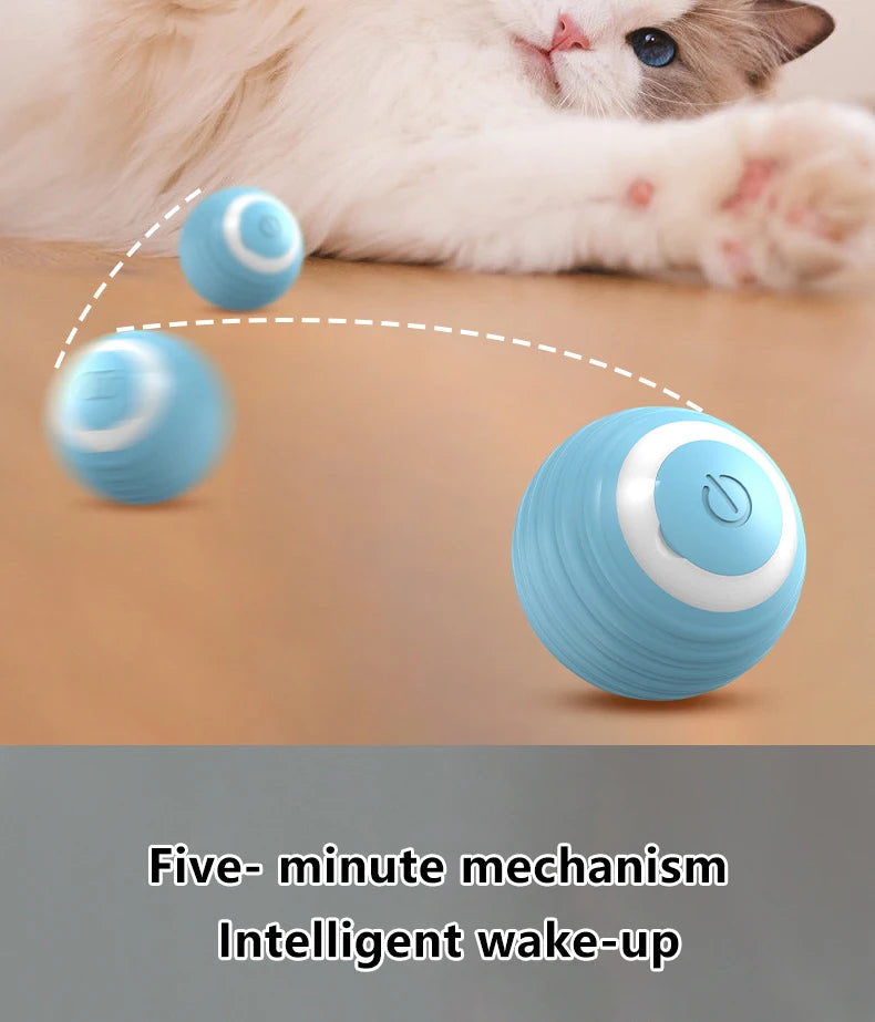 Cat Interactive Smart ball