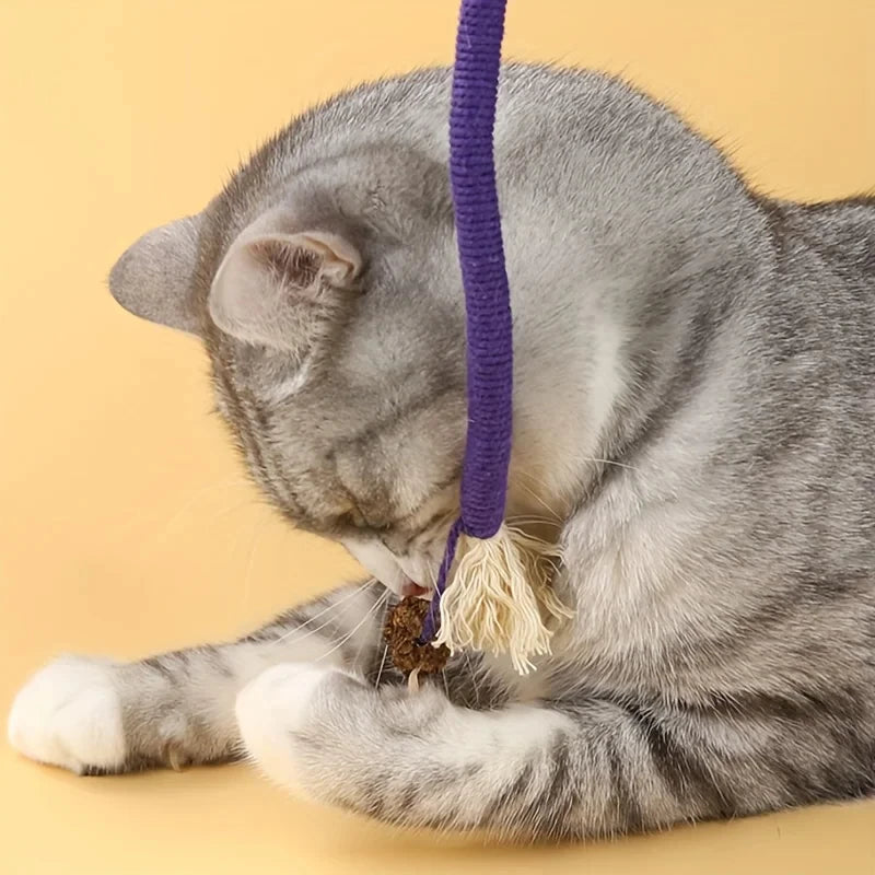 Cat Toys Silvervine Cat Teaser Toy Interactive Molar Cotton Rope Toy