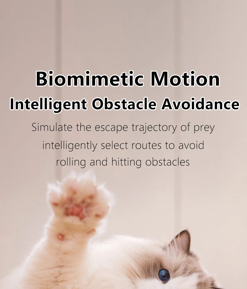 Cat Interactive Smart ball