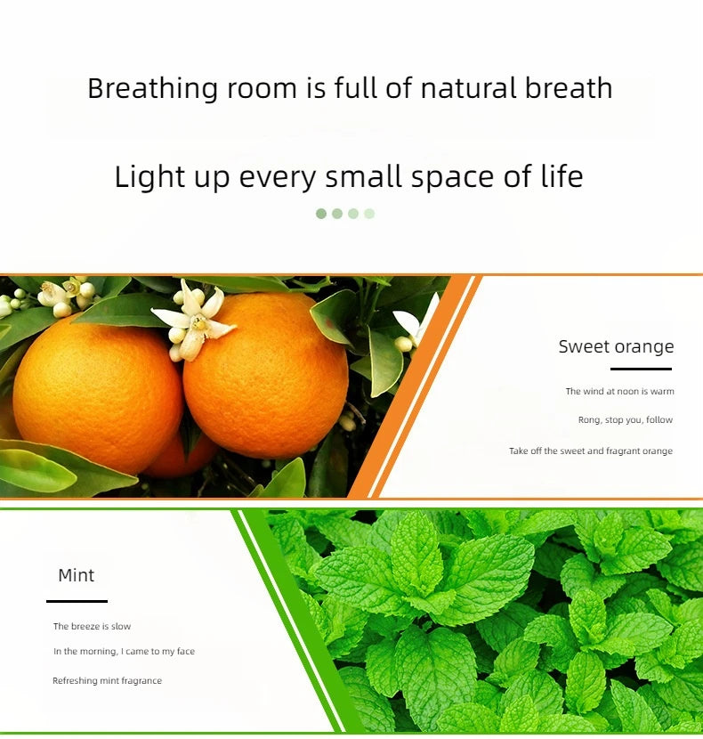 17 Scents 10ml Essential Oils for Aroma Diffuser Air Humidifier Water-soluble